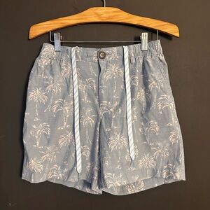 Palm Print Blue Light Blue Chubbies Men’s  Shorts